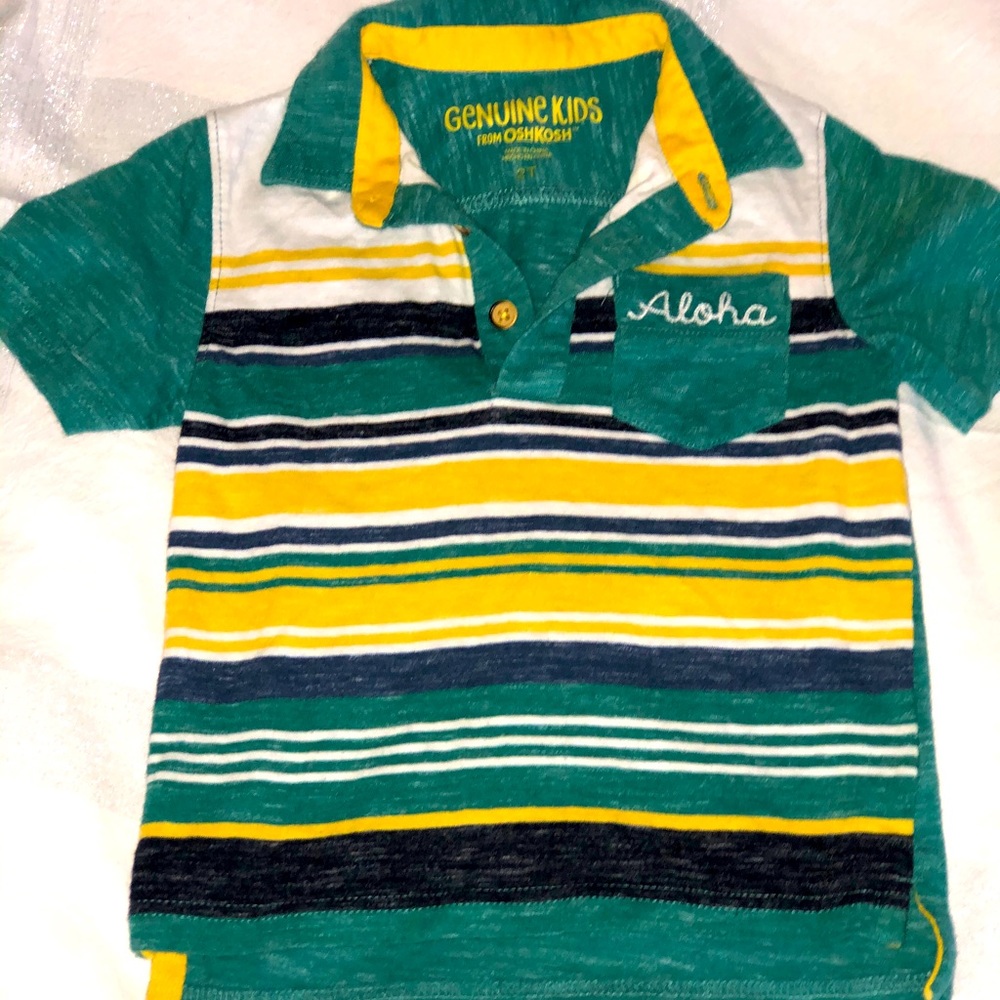 Aloha Striped Polo